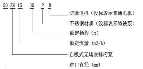 圖片1